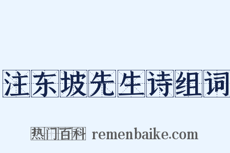 注东坡先生诗组词是什么意思的图片